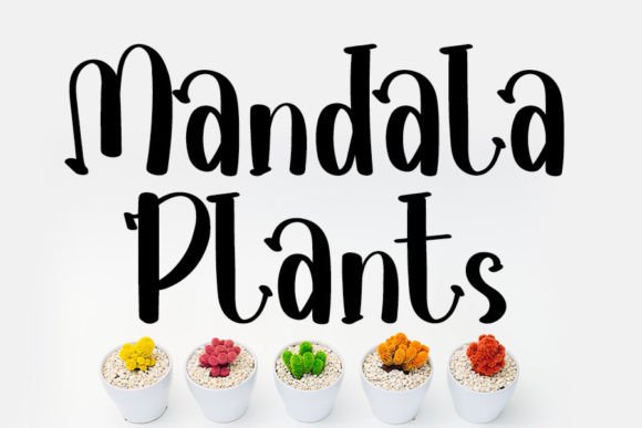 Mandala Plants Font for Elegant and Timeless Campaign Design