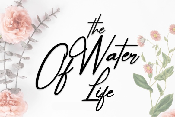 The Water of Life Font for Playful and Authentic Campaigns